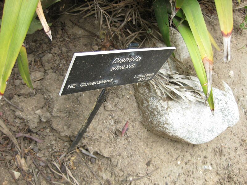 File:IMG 4743 hunt0904.jpg