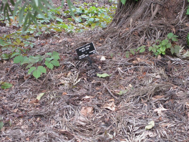 File:IMG 4748 hunt0904.jpg