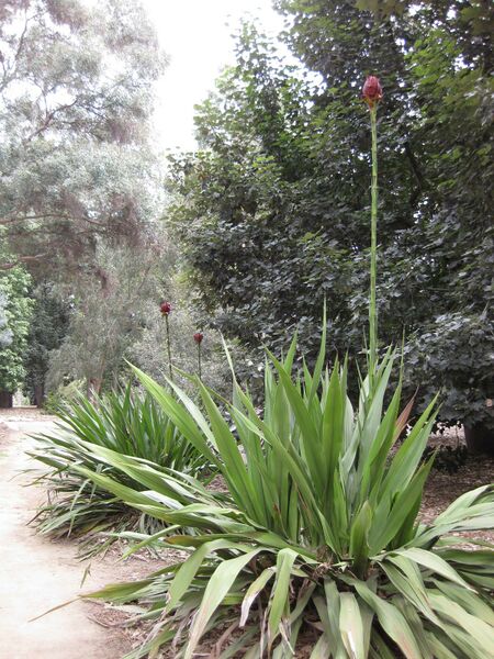 File:IMG 4764 hunt0904.jpg