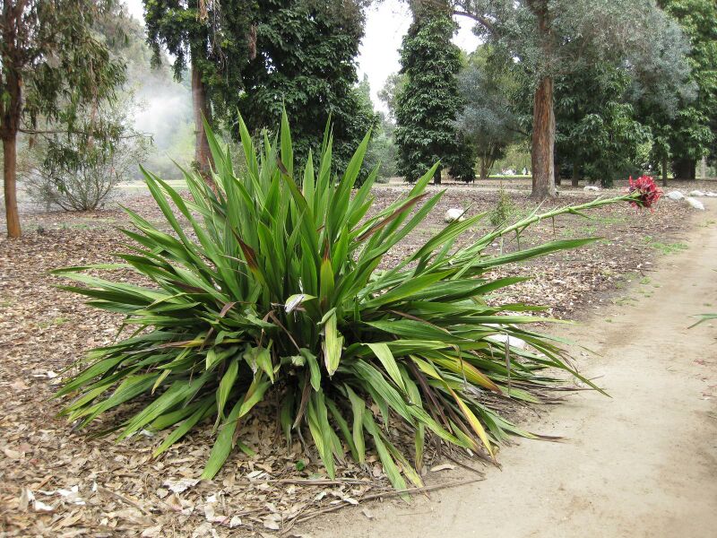 File:IMG 4765 hunt0904.jpg