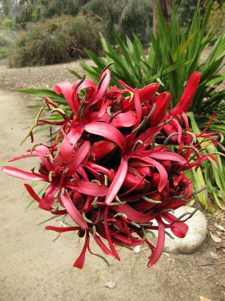 File:IMG 4766 hunt0904.jpg