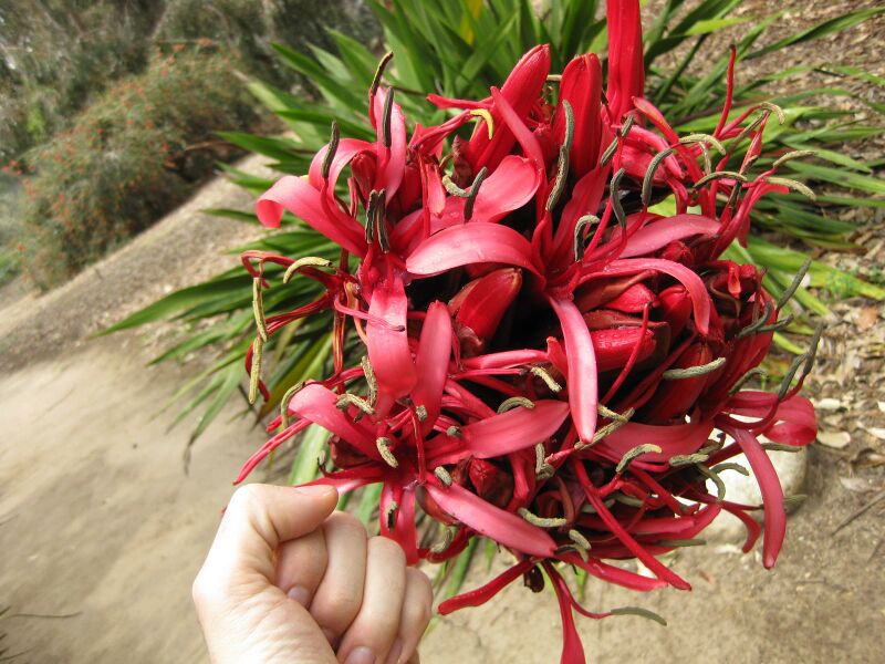 File:IMG 4767 hunt0904.jpg