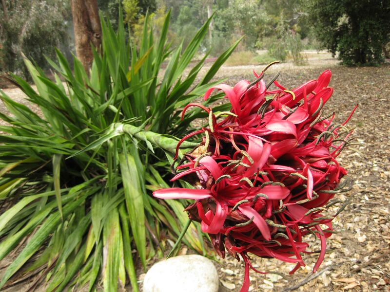 File:IMG 4768 hunt0904.jpg