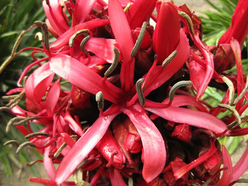 File:IMG 4769 hunt0904.jpg