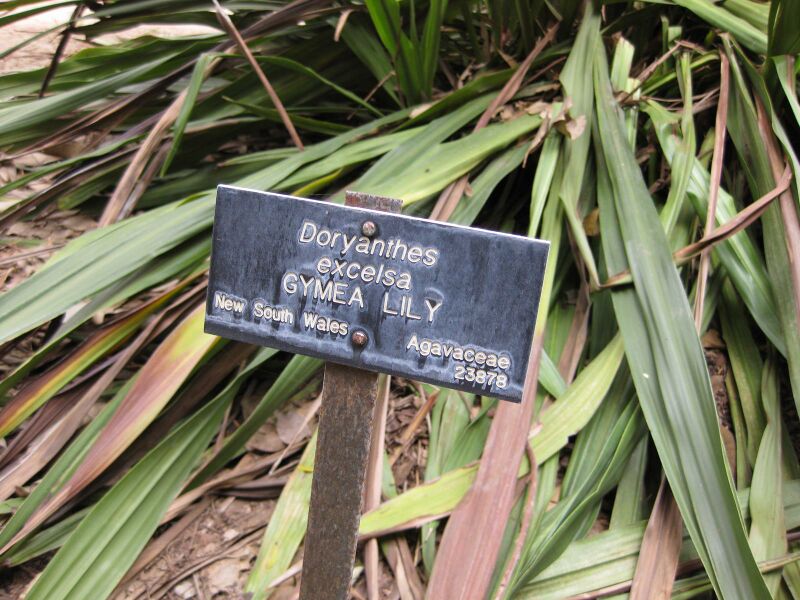 File:IMG 4770 hunt0904.jpg