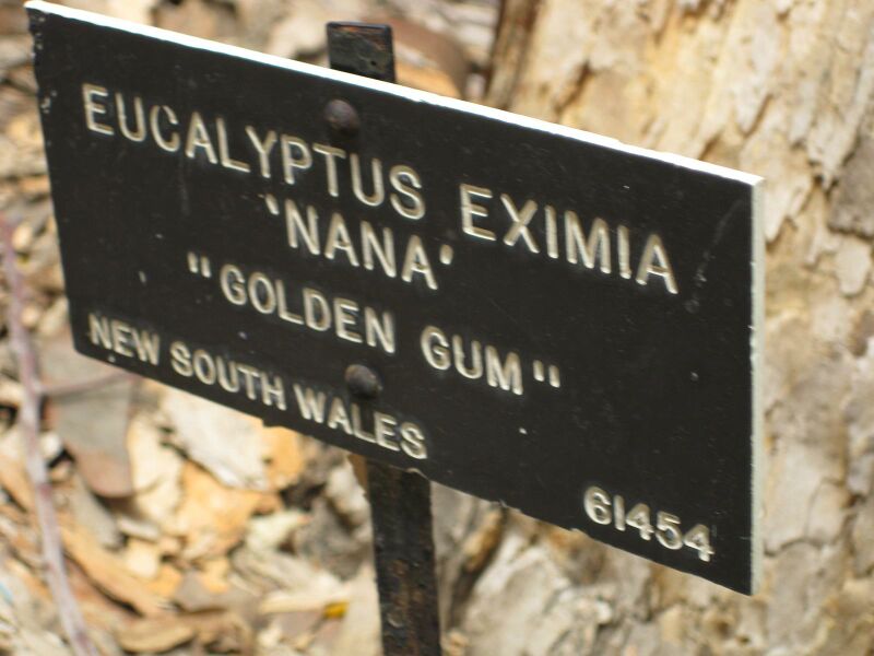 File:IMG 4773 hunt0904.jpg