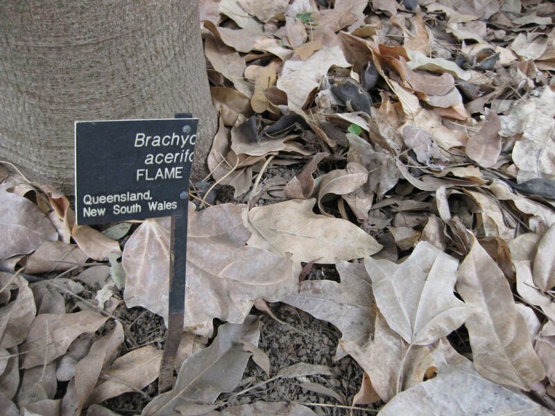 File:IMG 4779 hunt0904.jpg