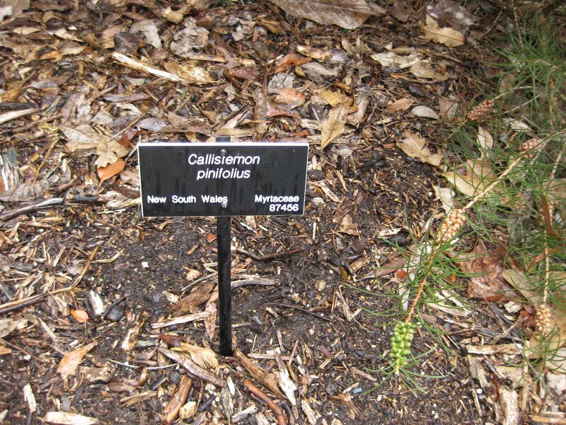 File:IMG 4789 hunt0904.jpg