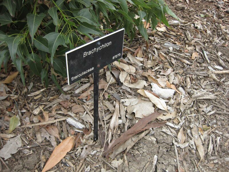 File:IMG 4791 hunt0904.jpg