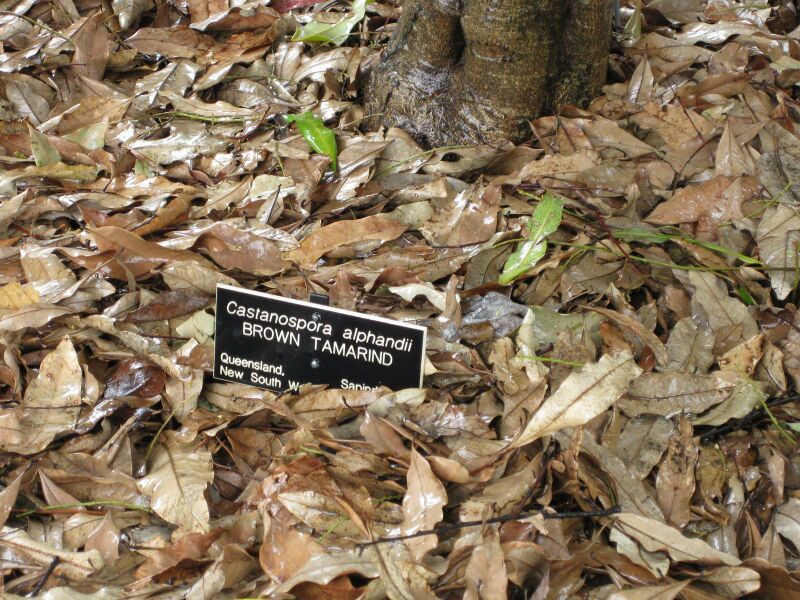 File:IMG 4795 hunt0904.jpg