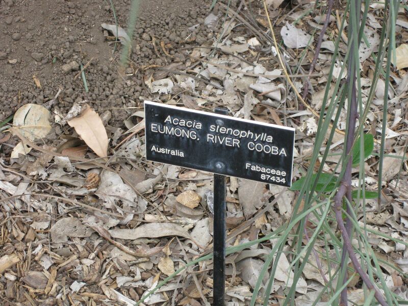 File:IMG 4797 hunt0904.jpg