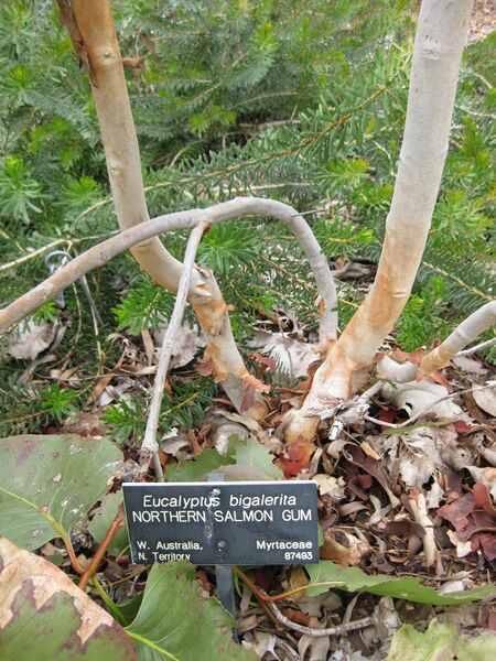 File:IMG 4805 hunt0904.jpg