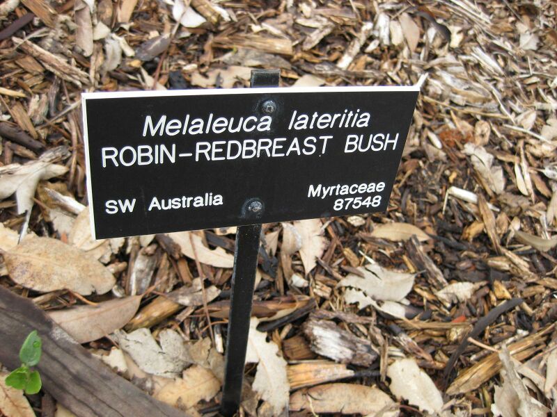 File:IMG 4811 hunt0904.jpg