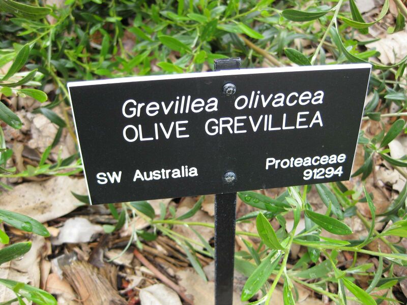 File:IMG 4814 hunt0904.jpg