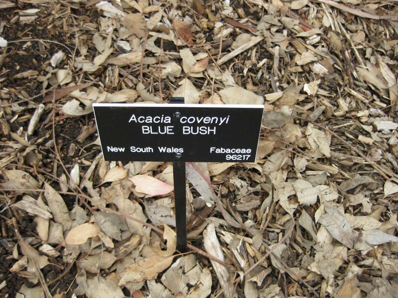 File:IMG 4817 hunt0904.jpg