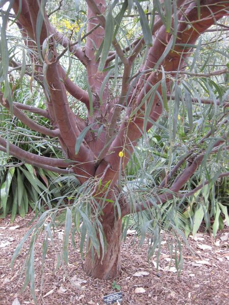 File:IMG 4821 hunt0904.jpg