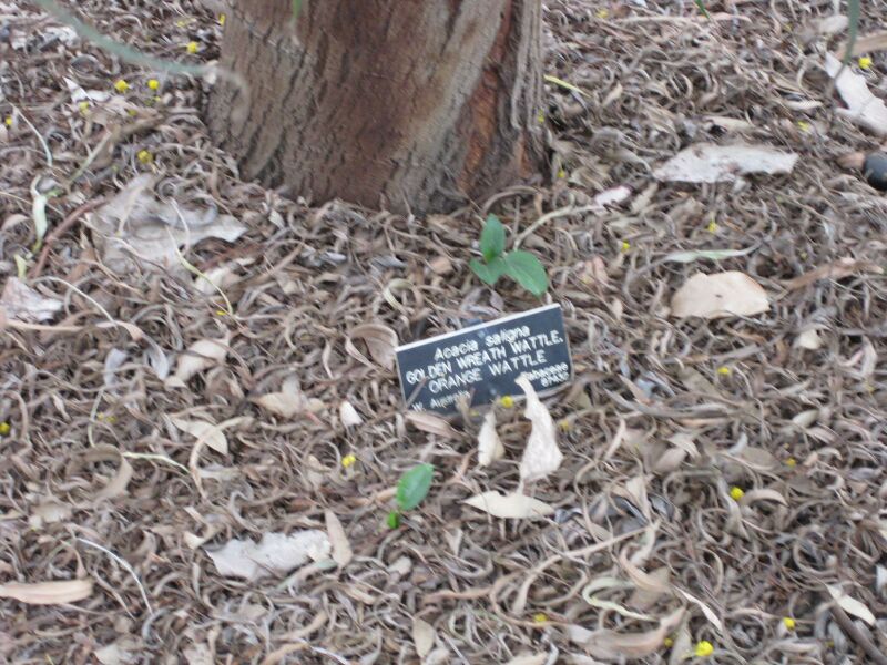 File:IMG 4822 hunt0904.jpg