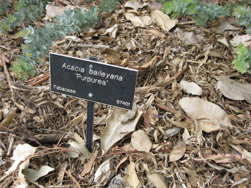 File:IMG 4825 hunt0904.jpg