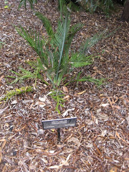 File:IMG 4826 hunt0904.jpg