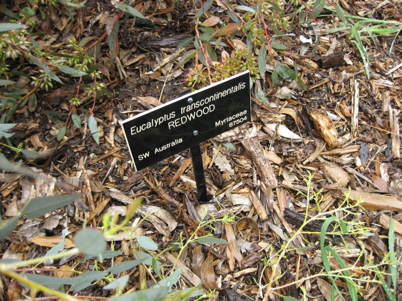 File:IMG 4832 hunt0904.jpg