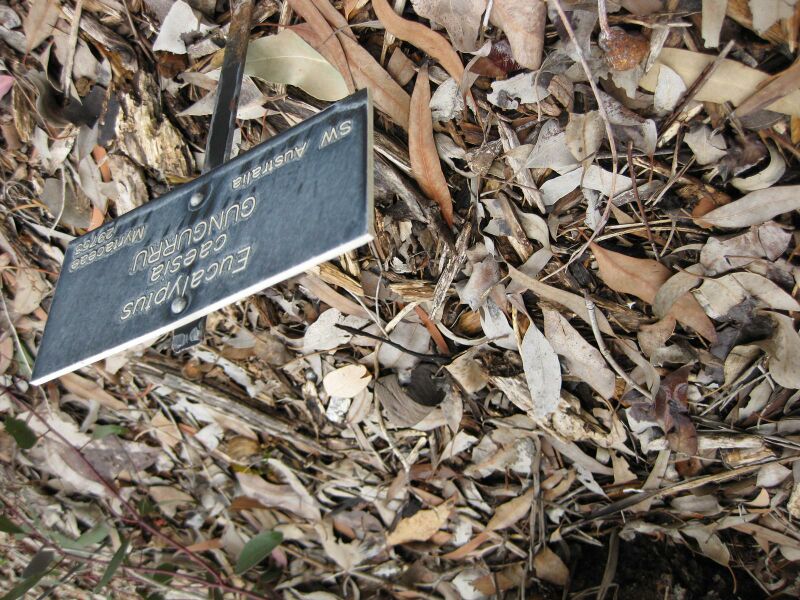 File:IMG 4836 hunt0904.jpg