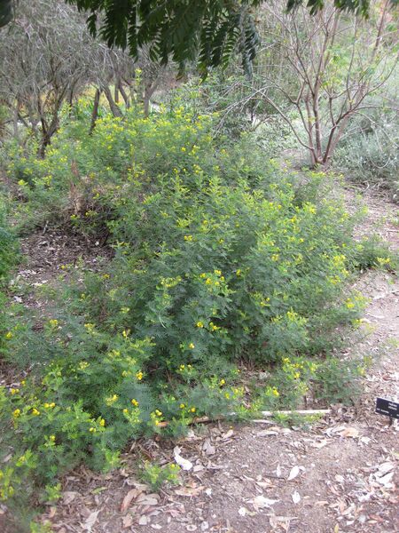 File:IMG 4837 hunt0904.jpg