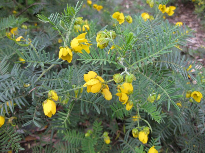 File:IMG 4838 hunt0904.jpg