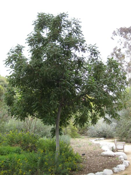 File:IMG 4840 hunt0904.jpg