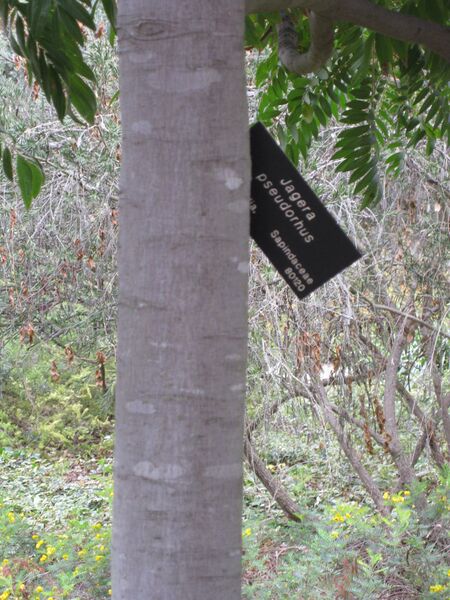 File:IMG 4842 hunt0904.jpg