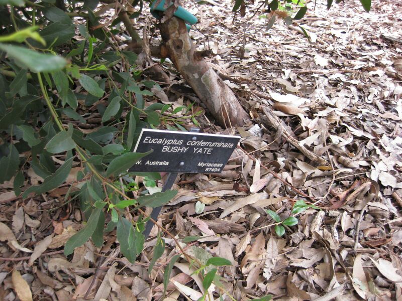 File:IMG 4844 hunt0904.jpg