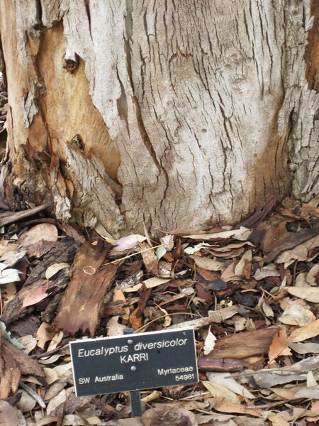 File:IMG 4847 hunt0904.jpg