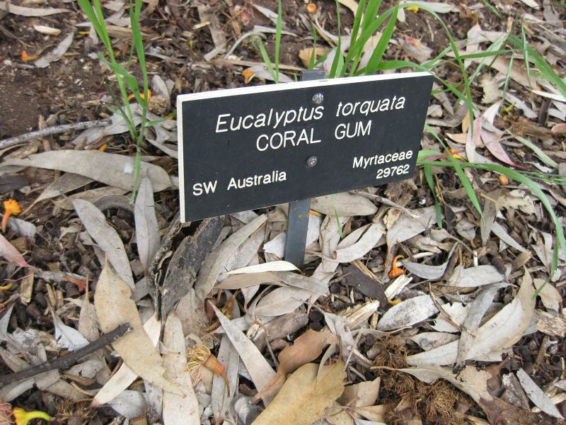 File:IMG 4851 hunt0904.jpg