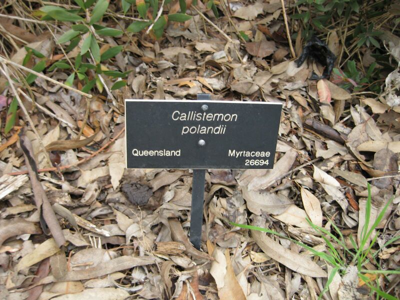 File:IMG 4854 hunt0904.jpg