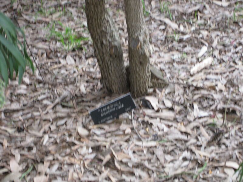 File:IMG 4858 hunt0904.jpg