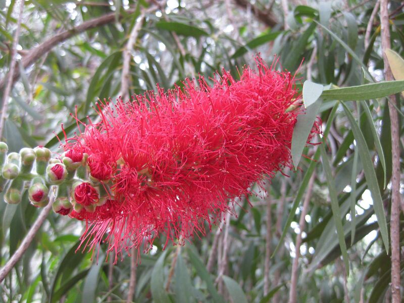 File:IMG 4861 hunt0904.jpg