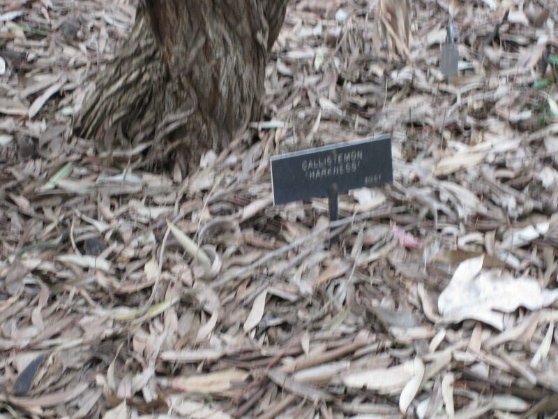 File:IMG 4863 hunt0904.jpg