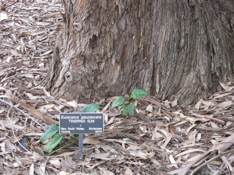 File:IMG 4867 hunt0904.jpg