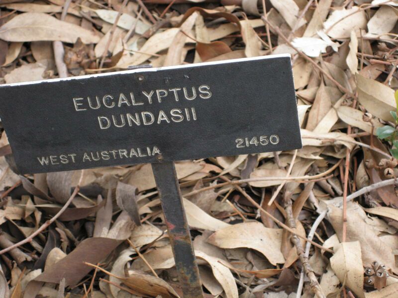 File:IMG 4870 hunt0904.jpg