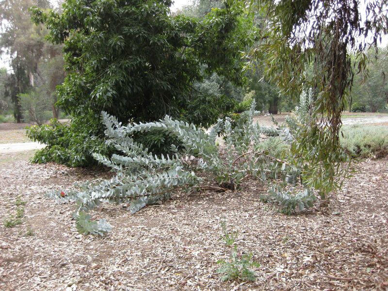 File:IMG 4871 hunt0904.jpg