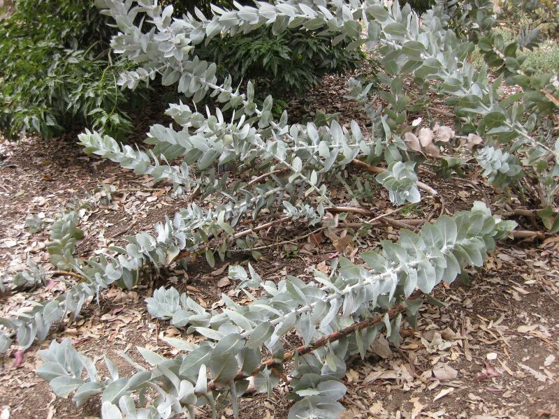 File:IMG 4872 hunt0904.jpg