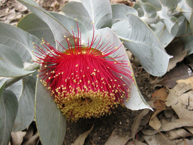 File:IMG 4874 hunt0904.jpg