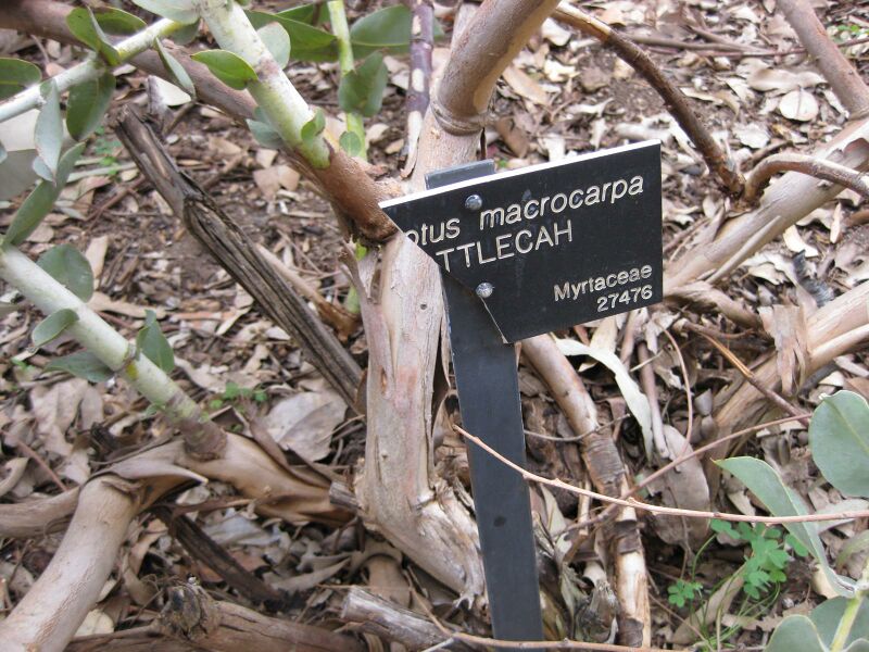 File:IMG 4876 hunt0904.jpg