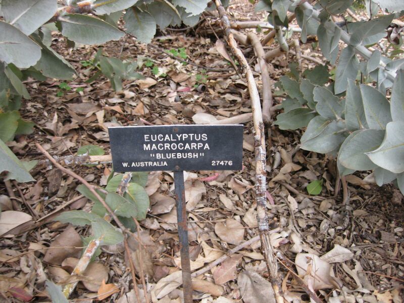 File:IMG 4877 hunt0904.jpg