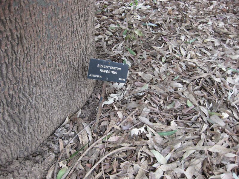 File:IMG 4886 hunt0904.jpg