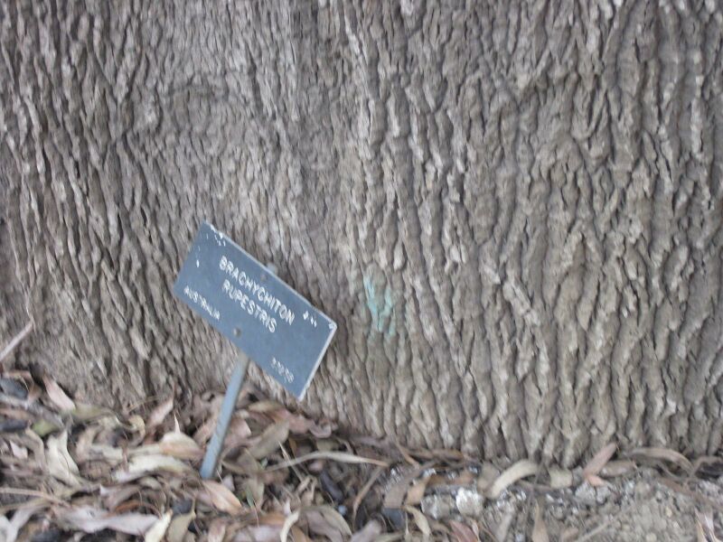 File:IMG 4889 hunt0904.jpg