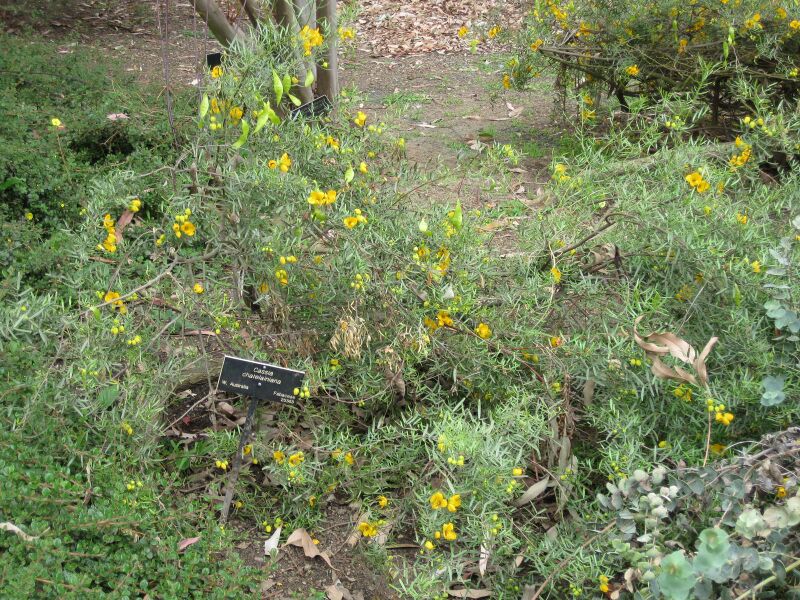 File:IMG 4894 hunt0904.jpg