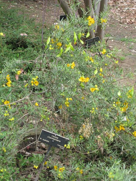 File:IMG 4895 hunt0904.jpg