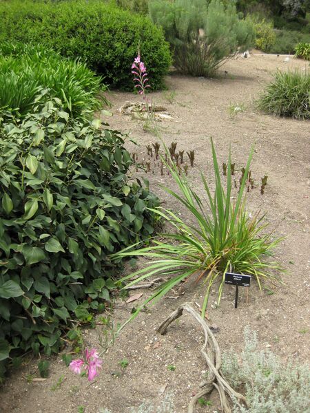 File:IMG 4898 hunt0904.jpg