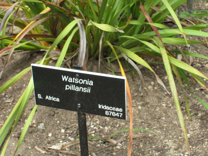 File:IMG 4900 hunt0904.jpg