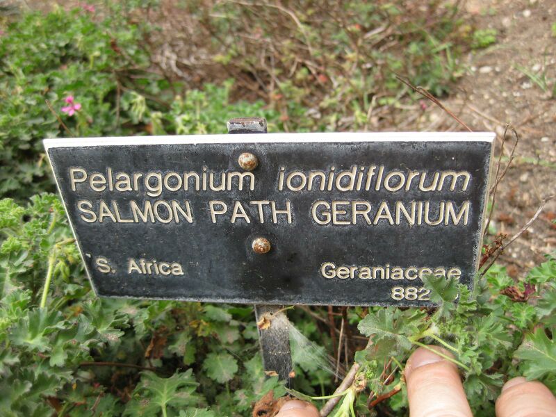 File:IMG 4903 hunt0904.jpg